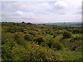 View along the escarpment