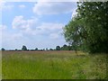 SP3252 : Field Near Rising fields Farm by Nigel Mykura