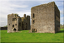 S0985 : Castles of Munster: Ballynakill, Tipperary (2) by Mike Searle