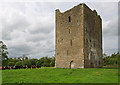 S2867 : Castles of Leinster: Foulkscourt, Kilkenny (1) by Mike Searle