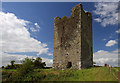 S4643 : Castles of Leinster: Newtown, Kilkenny (1) by Mike Searle