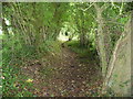 Sunken path between fields near Llanblethian