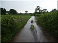 British Summer Time near Cowbridge