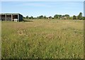 Pasture, Wellesbourne