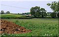 2011 : Ripening wheat on Beard Hill