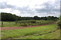 Horse Gallops near Broadgrove Wood