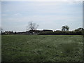 Manor  Farm  From  Minster  Way