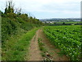 Southill, footpath