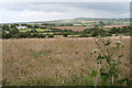 View from the bridleway to Woodstock