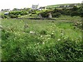 A ruined cottage, Port Logan