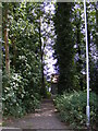 TM1640 : Footpath to the Suffolk Food Hall & Penny Jones Pilates by Geographer