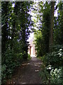 Footpath to the barn at Wherstead Hall Farm