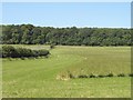 SP2753 : Grass fields by Red Hill by Derek Harper