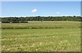 SP2753 : Grass fields by Red Hill by Derek Harper