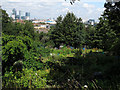 Humber Road allotments - looking north