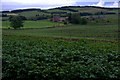 Potato field near Fyal