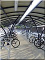 Bike shed with shadows, Clapham Junction station