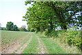 TQ7142 : Path to Castlemaine Farm by N Chadwick