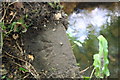 Benchmark on culvert at Station Road crossroads