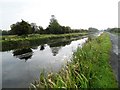 N7226 : Gand Canal West of Allenwood, Co. Kildare by JP