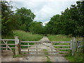 Looking along the Goathland rail trail