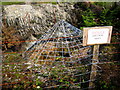 Mine shaft at Wheal Jane