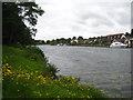 The River Thames below Staines