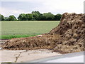 Horse manure and rotting straw near Stebbing