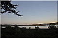 Lelant : Hayle Estuary & Nature Reserve