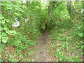 Green lane bridleway near Narberth Bridge