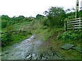 Footpath north of Thornhill