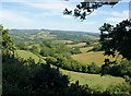 Valley below Neadon