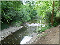 River Ravensbourne in Ladywell Fields