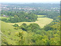 Reigate from Saddle Knob