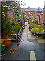 Secret gardens of Welford Street (west)