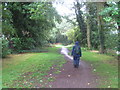 The Thames Path opposite Chertsey Meads