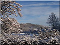 View of Caldbeck "hills"