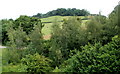 Lodge Wood, Caerleon viewed from Malpas, Newport