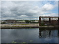 Attercliffe, Sheffield, with water-lilies