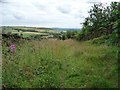 Bridleway dropping down the hillside