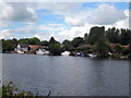 The Thames below Walton Bridge