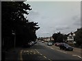 View of the Anerley TV transmission mast from Elmers End Road