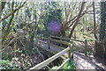 Footbridge, 1066 Country Walk