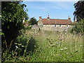 Wildlife areas in the churchyard