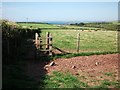 Footpath from Marloes to St Brides