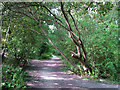 Former track of the Great Northern Leen Valley Line