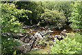 Dartmoor Forest: river Swincombe