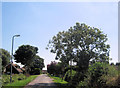 Entering North Somercotes on Bank End