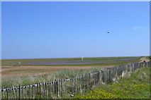 TF4299 : Shoreline from car park at Donna Nook by John Firth