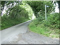 Footpath sign by tree-lined road